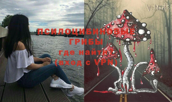PSILOCYBIN Лабытнанги