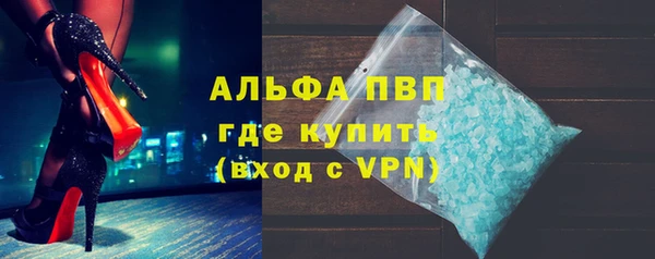 PSILOCYBIN Лабытнанги