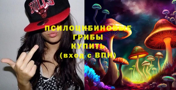 PSILOCYBIN Лабытнанги