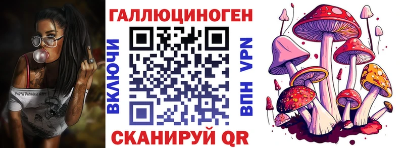 Псилоцибиновые грибы Magic Shrooms  сколько стоит  Черногорск 
