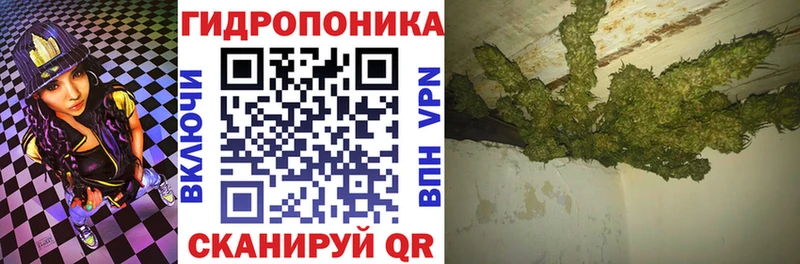 МАРИХУАНА гибрид  Черногорск 